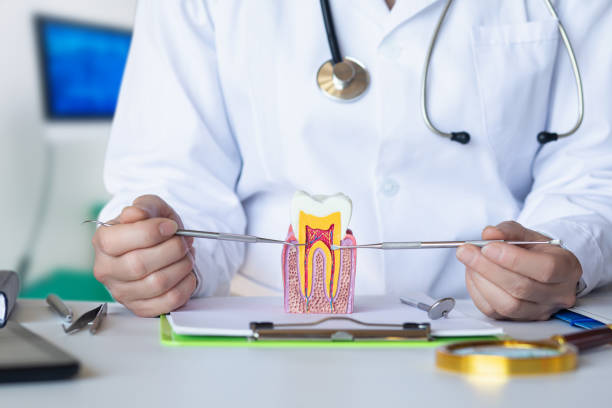 Best Emergency Broken Tooth Repair in Cloverdale, CA